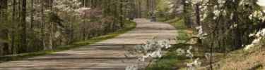 Colonial Parkway in Spring